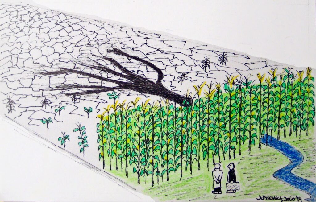 two people looking at a corn plantation. a blue river passes right next to them. behind the corn plantation, eroded soil and draught landscape